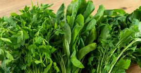 Quais são as verduras mais nutritivas e fáceis de encontrar para incluir agora na rotina
