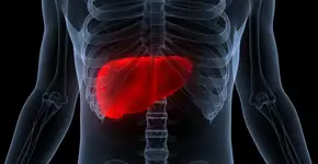 Foto: (magicmine/istock)