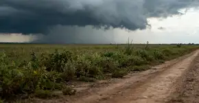 Por que algumas pessoas sentem cheiros antes de uma tempestade chegar?