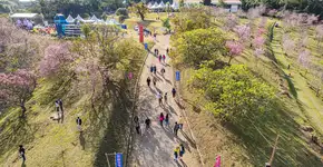 Foto: (Marcel Uyeta/Divulgação)