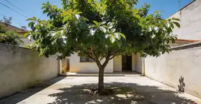 Foto: (Imagem sem texto alternativo disponivel ID [2712473])