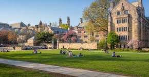 Estude de graça e on-line em Stanford, Yale e Princeton