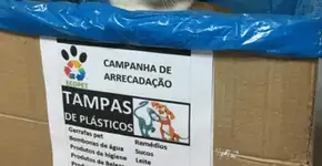 Reciclagem de tampinhas plásticas banca castração de pets sem lar