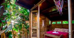 Hostel em Ilhabela oferece hospedagem em ‘casas na árvore’