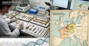 O DNA antigo revela que caçadores-coletores no que hoje é a Bélgica e os Países Baixos sobreviveram até 2500 a.C., quando o restante da Europa já se dedicava à agricultura