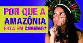 Por que a Amazônia está queimando?