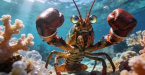 Foto: (Imagem sem texto alternativo disponivel ID [2709347])