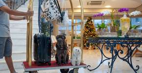 Foto: (Divulgação)