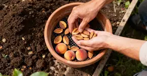 Foto: (Imagem sem texto alternativo disponivel ID [2670700])