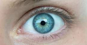 Foto: (Imagem sem texto alternativo disponivel ID [1833682])