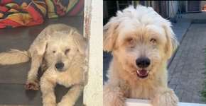 Foto: (Imagem sem texto alternativo disponivel ID [2703887])