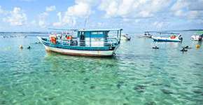 Foto: (Imagem sem texto alternativo disponivel ID [1868264])