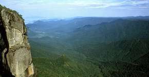 SOS Mata Atlântica tem vaga aberta para Analista Financeiro Jr.