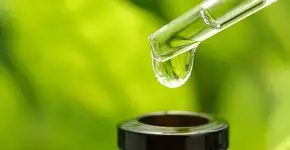 Aromaterapia com óleos essenciais: veja como isso pode ajudar sua saúde