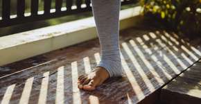 Você sabia? Pisar em baratas pode ser perigoso para sua saúde