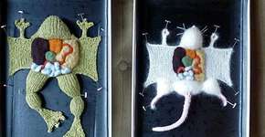 Foto: (Imagem sem texto alternativo disponivel ID [1834395])