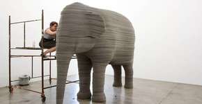 Zootécnico e Espaços de tempo