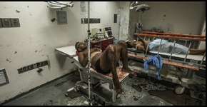 Veja fotos da situação degradante dos hospitais da Venezuela