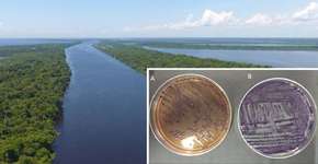 Foto: (reprodução/Governo Federal/UFMS)