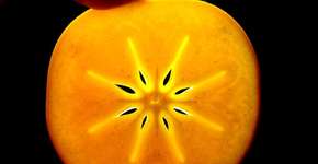 É caqui, não é tomate: aprenda receitas com o fruto asiático