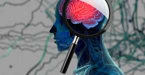 Foto: (Getty Images/iStockphoto)