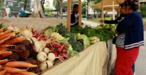 Cem anos de feiras livres em São Paulo são celebrados com Sabor Paulista