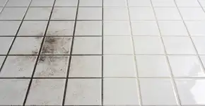 Foto: (Imagem sem texto alternativo disponivel ID [2729800])