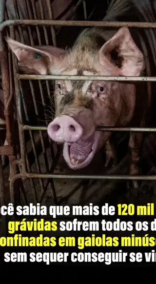 A empresa que faz uso dessa que é uma das...