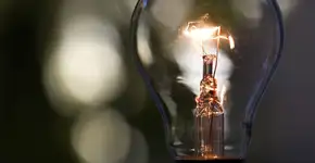 Foto: (Imagem sem texto alternativo disponivel ID [1603252])