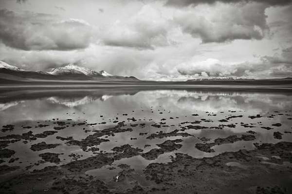 Foto: Aleksandar Garevski