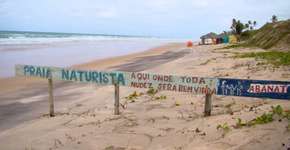 Foto: (Imagem sem texto alternativo disponivel ID [1515006])