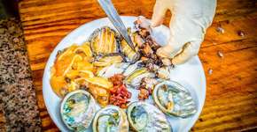 Foto: (Imagem sem texto alternativo disponivel ID [1869258])