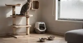 Foto: (Imagem sem texto alternativo disponivel ID [2720802])