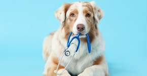 Foto: (Imagem sem texto alternativo disponivel ID [2628701])