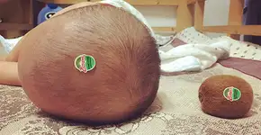 Foto: (Imagem sem texto alternativo disponivel ID [1836370])