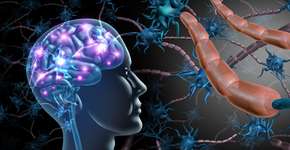 Comida típica do café da manhã pode levar à demência, sugere estudo