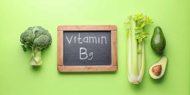 Featured main: Vitamina B9: entenda a importância desse nutriente para a saúde do intestino