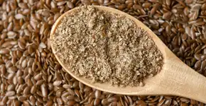 Alimentos que fortalecem seu intestino e sua saúde