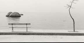 Foto: (Imagem sem texto alternativo disponivel ID [1847249])