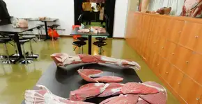 Museu de Anatomia da USP