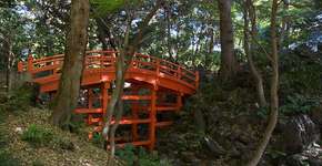 Conheça os 12 jardins botânicos mais bonitos do mundo