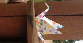 Foto: (Imagem sem texto alternativo disponivel ID [717947])