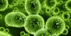 Unicamp usa hidrogel para tratamento do câncer de próstata