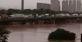 Foto: (reprodução)