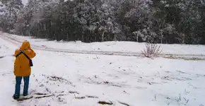 Foto: (YES BRASIL/istock)