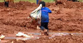 Foto: (Imagem sem texto alternativo disponivel ID [1838977])