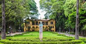 Foto: (Murillo Constantino)