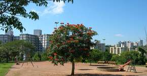 Foto: (Imagem sem texto alternativo disponivel ID [1083373])