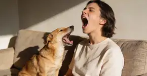 Foto: (Imagem sem texto alternativo disponivel ID [2685726])