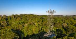 Foto: (Imagem sem texto alternativo disponivel ID [2167295])